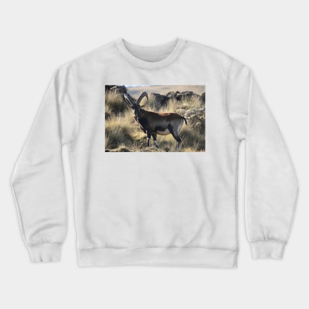 Mountain goat-goat on mountain Crewneck Sweatshirt by NP-Pedia